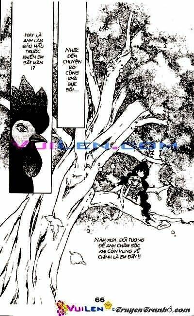 đóa hoa yêu kiều chapter 2 67