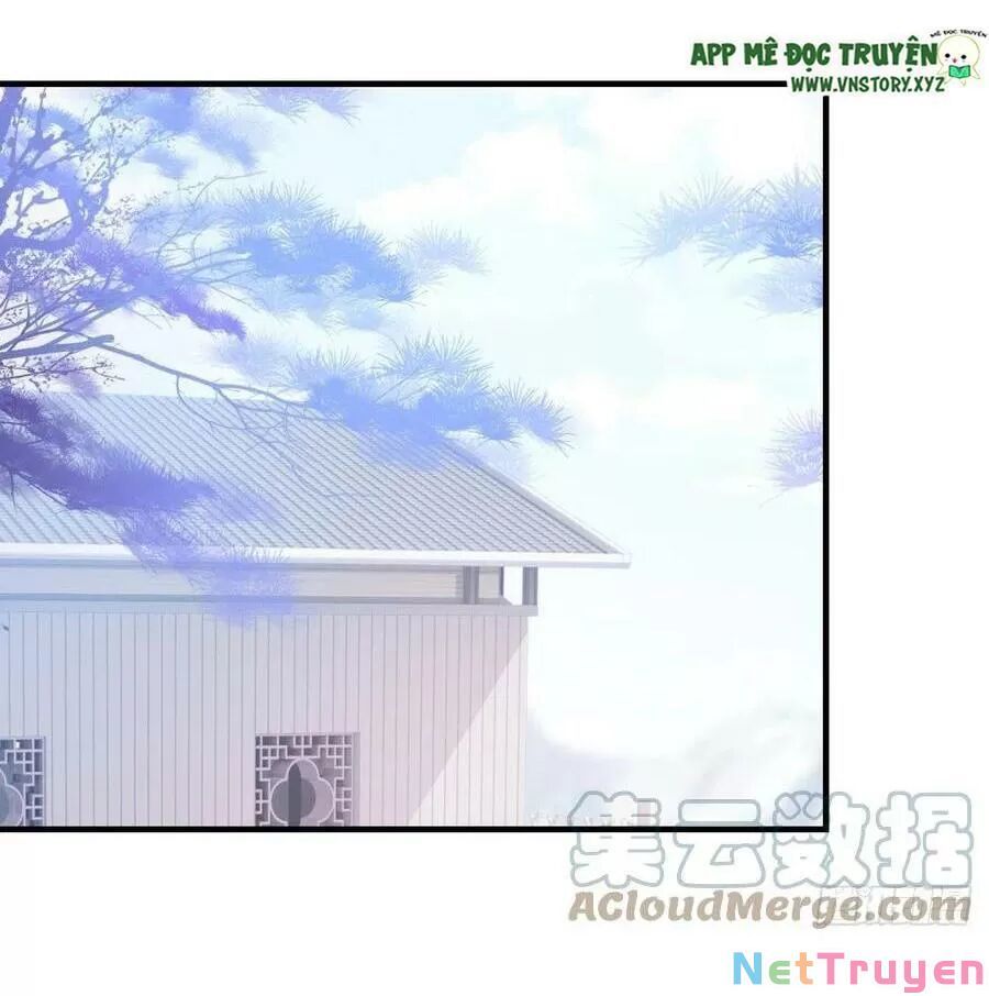 lại bị bệnh chiều chuộng quấn lấy chapter 68 13