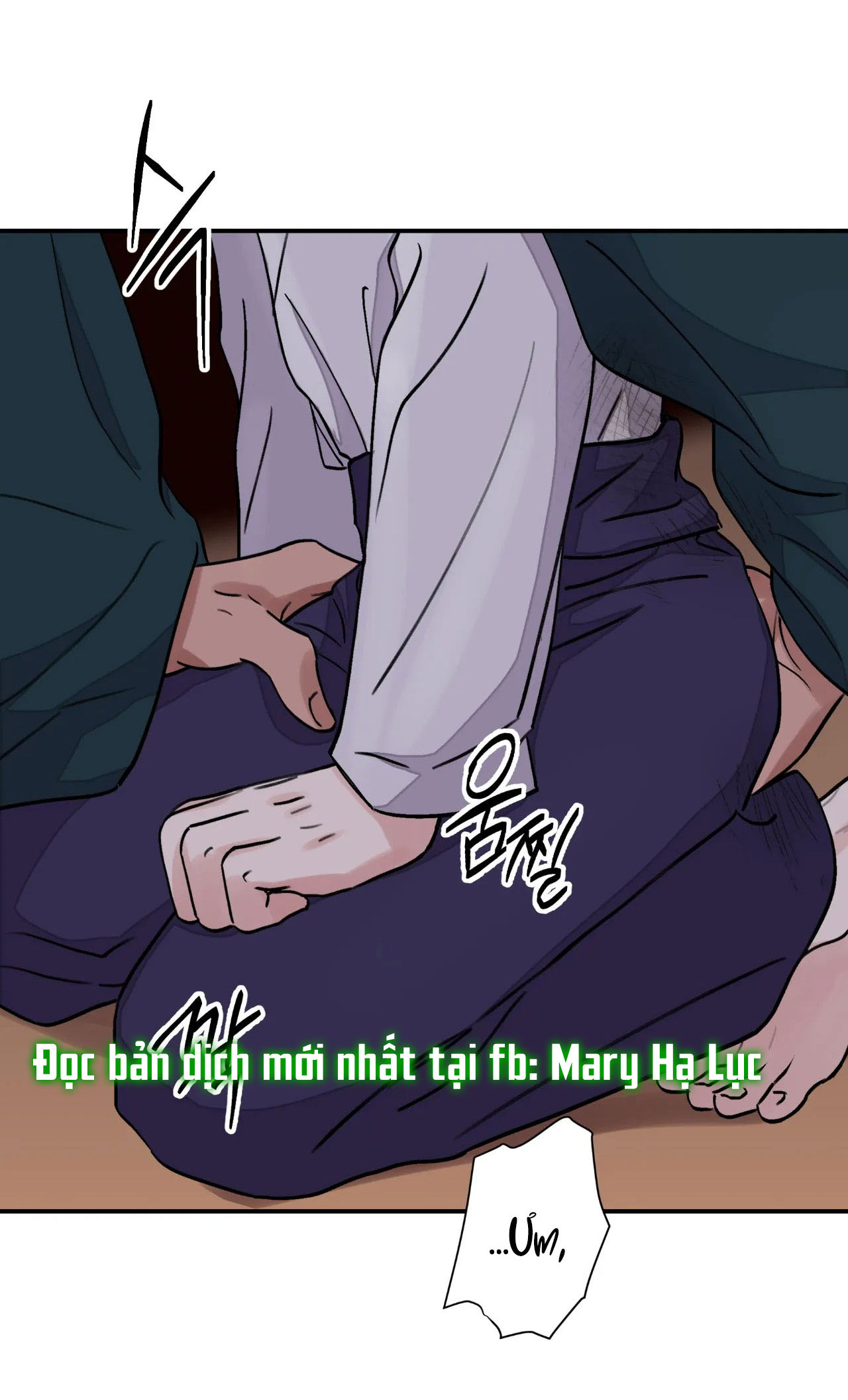 [18+] trượng kiếm tựa hoa chapter 20.1 21