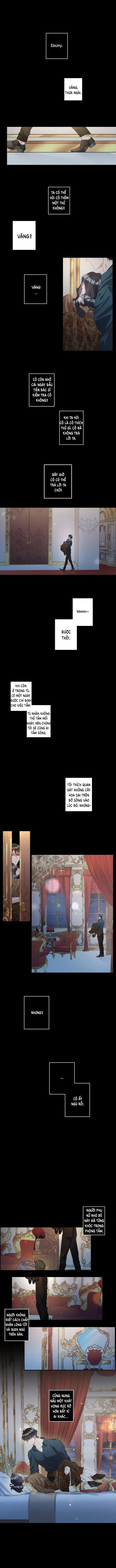 ebony, quạ đen chapter 41 2