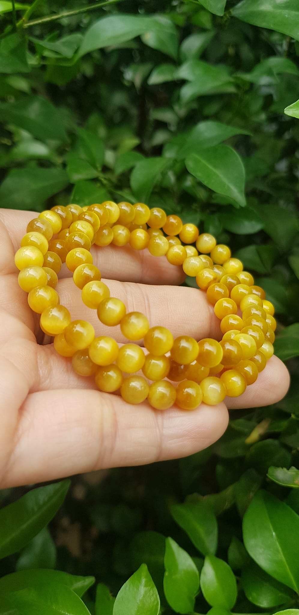 Vòng tay nữ đá mắt hổ tự nhiên vàng anh vip 6mm quấn tay 3 vòng đẹp vòng màu vàng anh tươi đẹp hợp nữ mệnh kim mệnh thổ mệnh thuỷ đeo tay may mắn xinh đẹp sang tay ạ