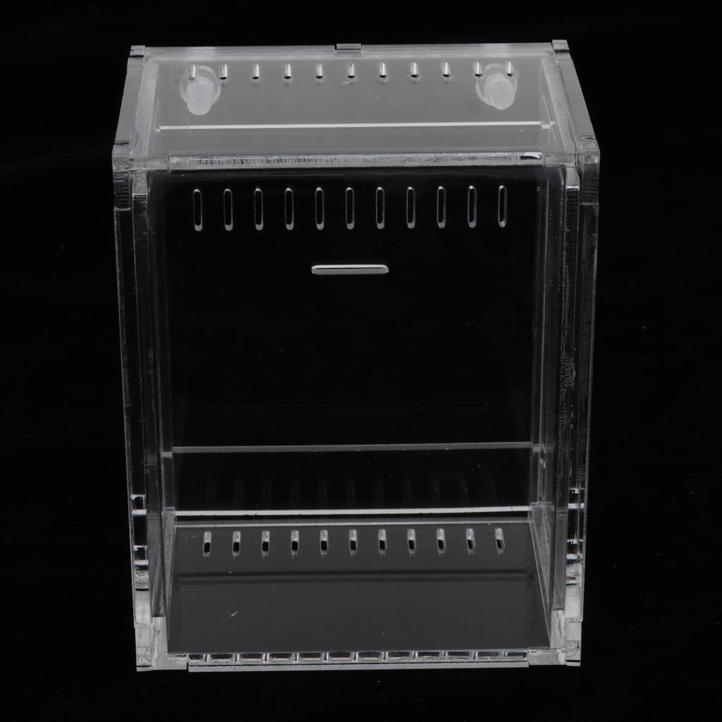 Clear Terrarium Box Reptile & Amphibian Breeding Box for Snake Lizard Turtle