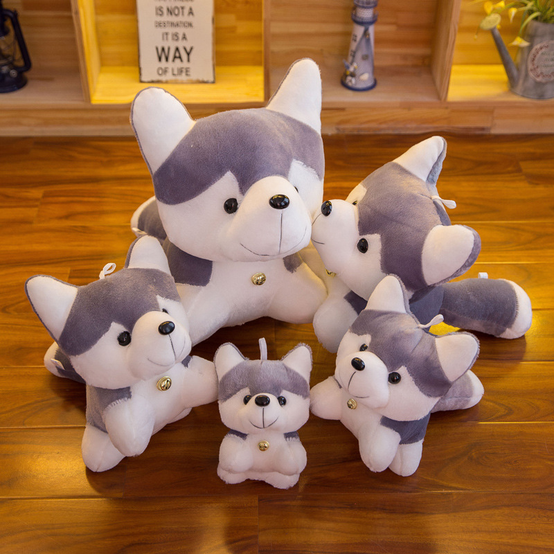 Gấu bông chó Husky đeo chuông dễ thương siêu mềm siêu cưng (20cm---&gt;50 cm) Gối ôm chó husky đáng yêu hàng xịn cao cấp an toàn cho trẻ nhỏ