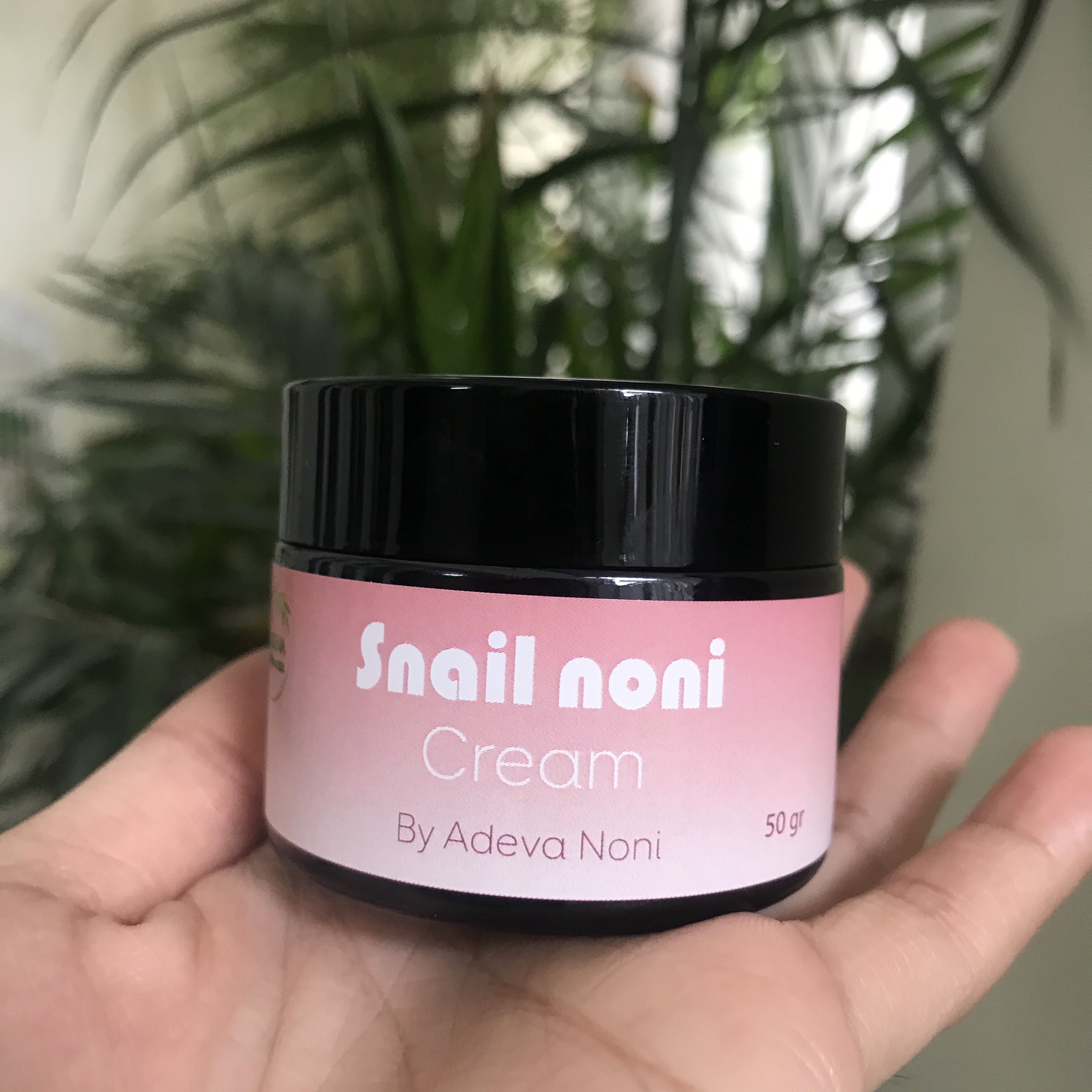 Kem dưỡng Trái nhàu Adeva Noni (50 gr/ 1 hộp) - Adeva Noni cream - Dưỡng da mặt ban đêm, kem dưỡng từ thiên nhiên cho da mềm mại