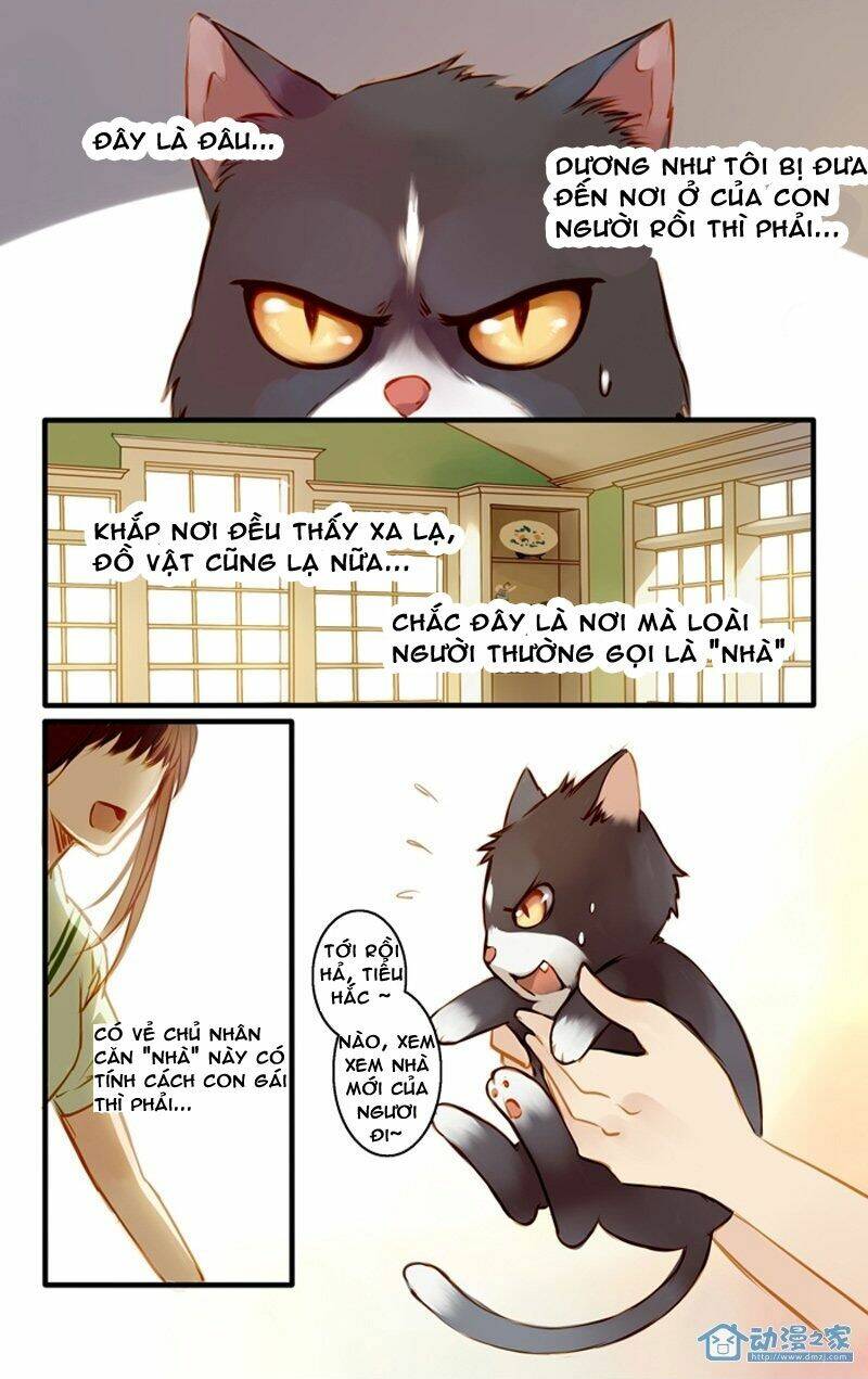 hằng mộng nam thần chapter 22 3