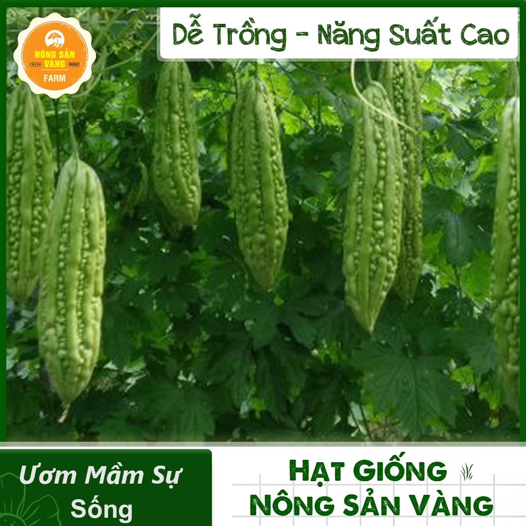 Hạt giống Khổ Qua F1 Dễ Trồng, Trồng Được Quanh Năm, Được Nhiều Nhiều Yêu Thích (Gói 10 Hạt) - Nông Sản Vàng