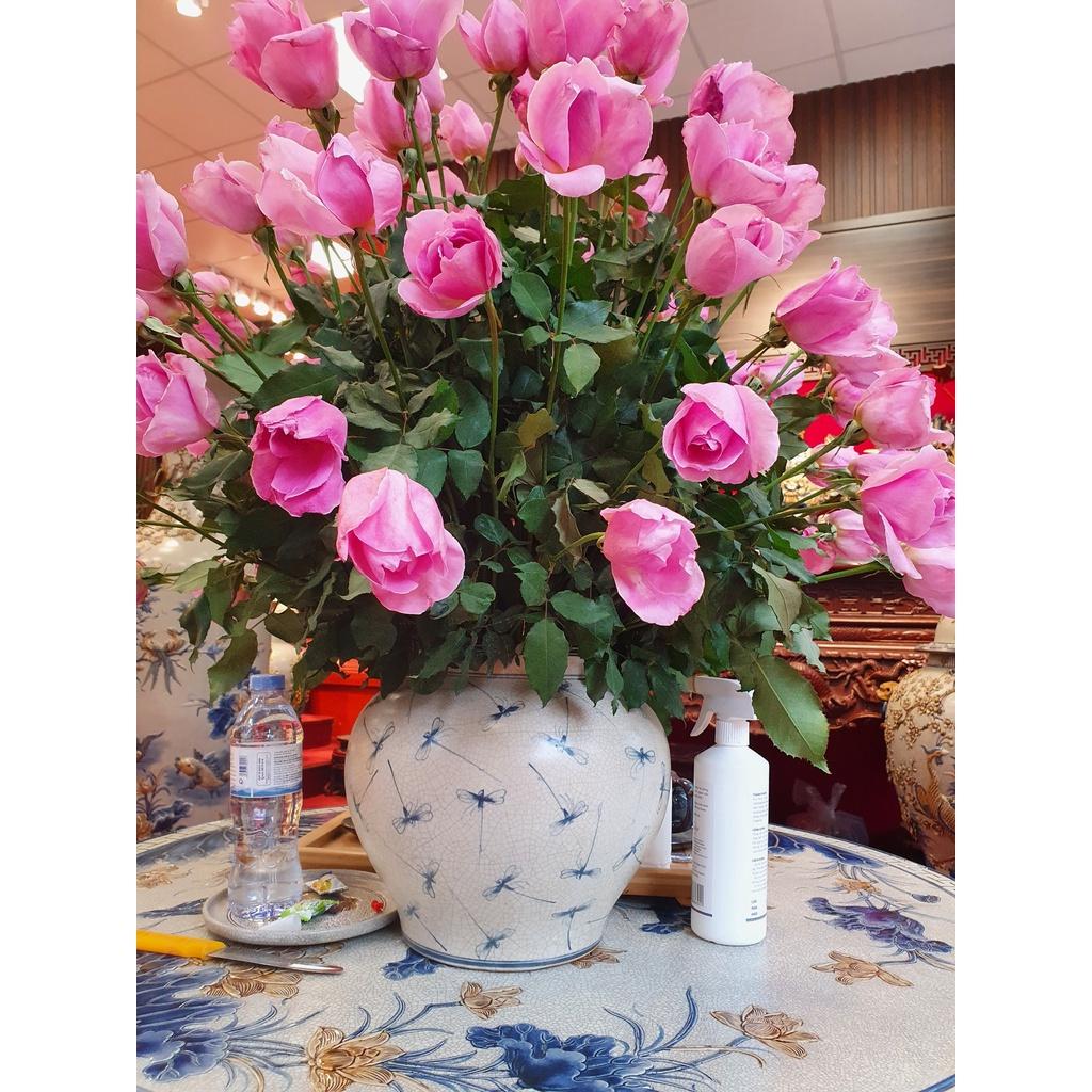Bình hoa men rạn dáng vò tròn cao H30cm vẽ chuồn chuồn, thích hợp cắm hoa hồng đẹp lung linh gốm Minh An Bát Tràng