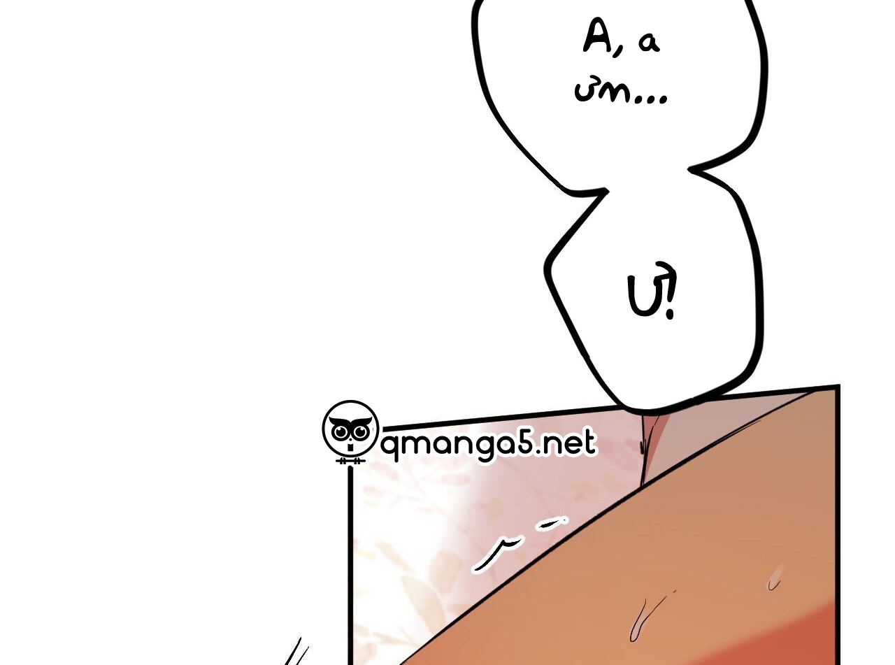 đàn thỏ của habibi chapter 63 227