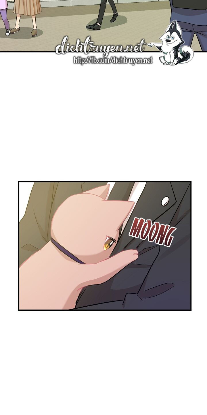 cuộc sống kỳ thú chapter 30 38