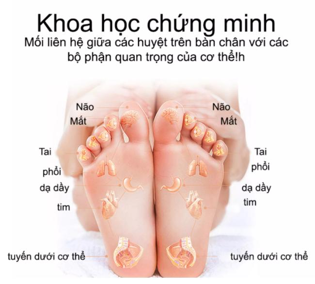 Máy massage bàn chân, máy mát xa bấm huyệt bàn chân an toàn giúp lưu thông khí huyết cho giấc ngủ ngon.