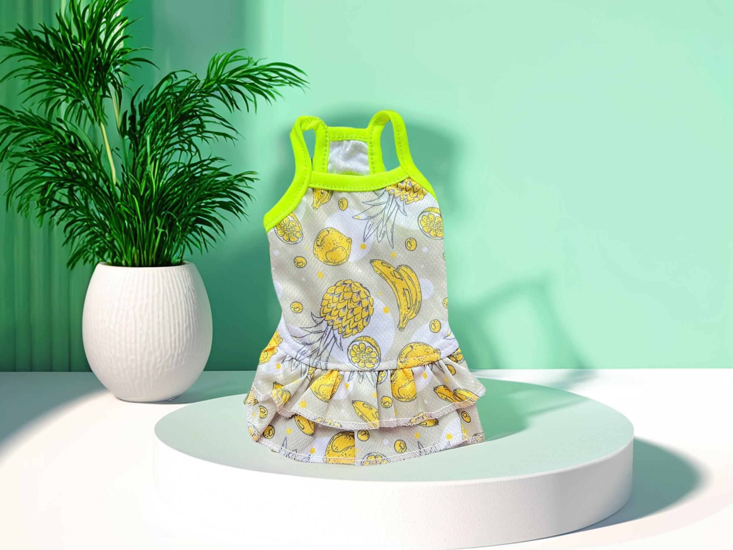 VÁY THÔNG HƠI TRÁI CÂY XINH XẮN TỪ 0.5-6.5KG DÀNH CHO THÚ CƯNG CHÓ MÈO