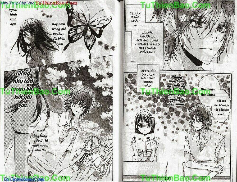 tường vi thơ mộng chapter 3 51