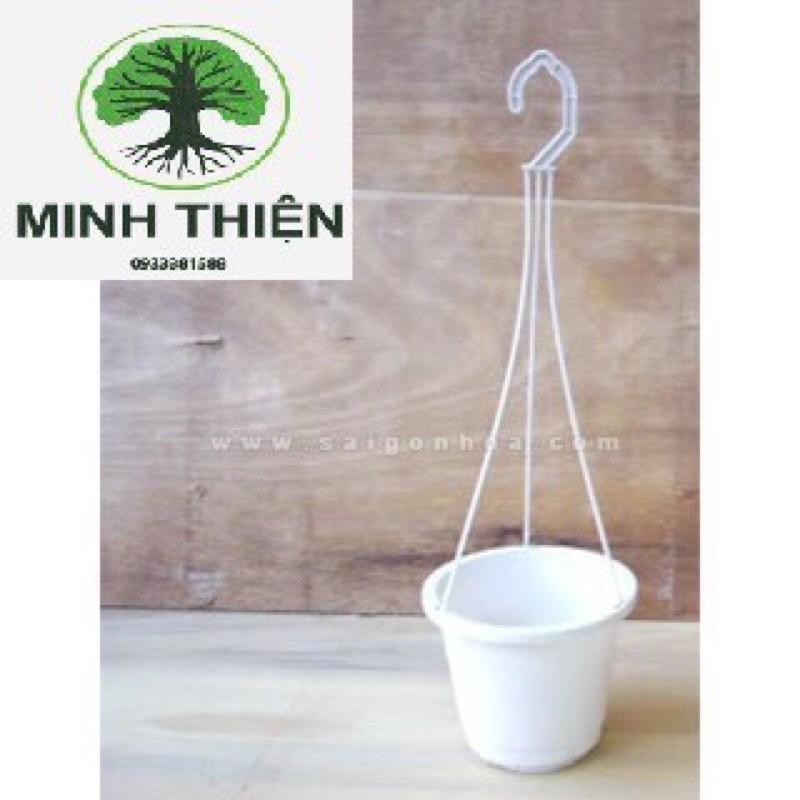 Chậu nhựa treo mini