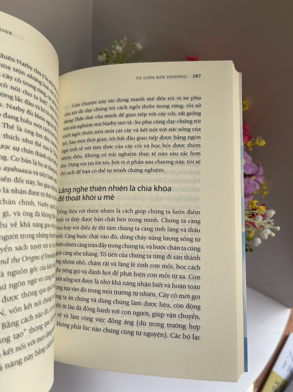 TU GIỮA ĐỜI THƯỜNG - Pedram Shojai - Nguyễn Nguyên Khải – Thoại Uyên - First News - NXB Dân Trí.