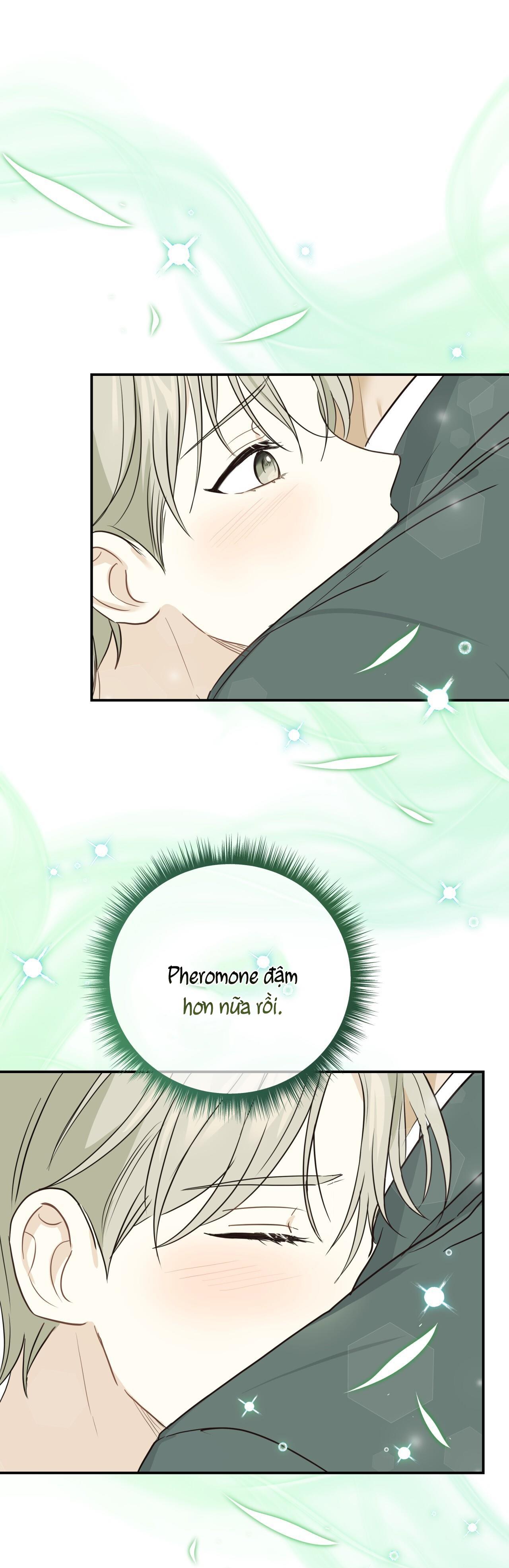 vị ngọt không đường (sweet not sugar) chapter 26 12