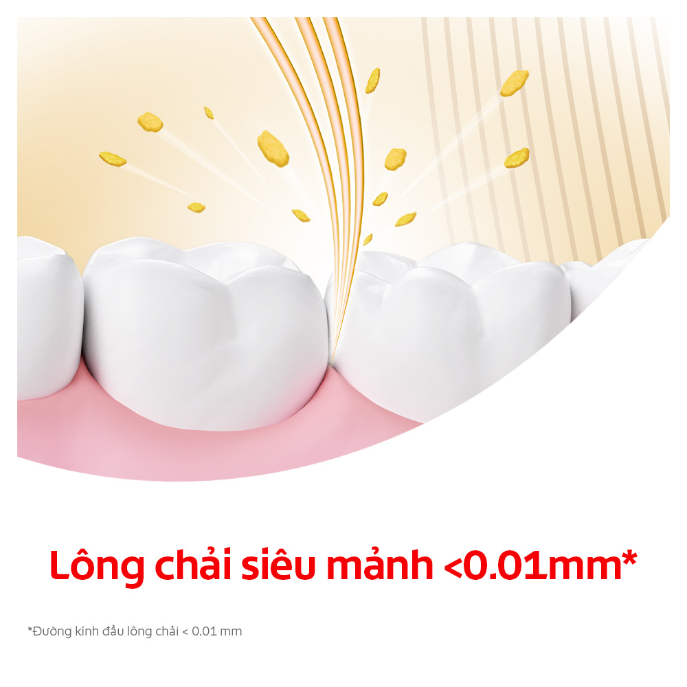 Bộ 2 Bàn chải Colgate Slimsolt Charcoal Gold kháng khuẩn than vàng ( màu ngẫu nhiên )