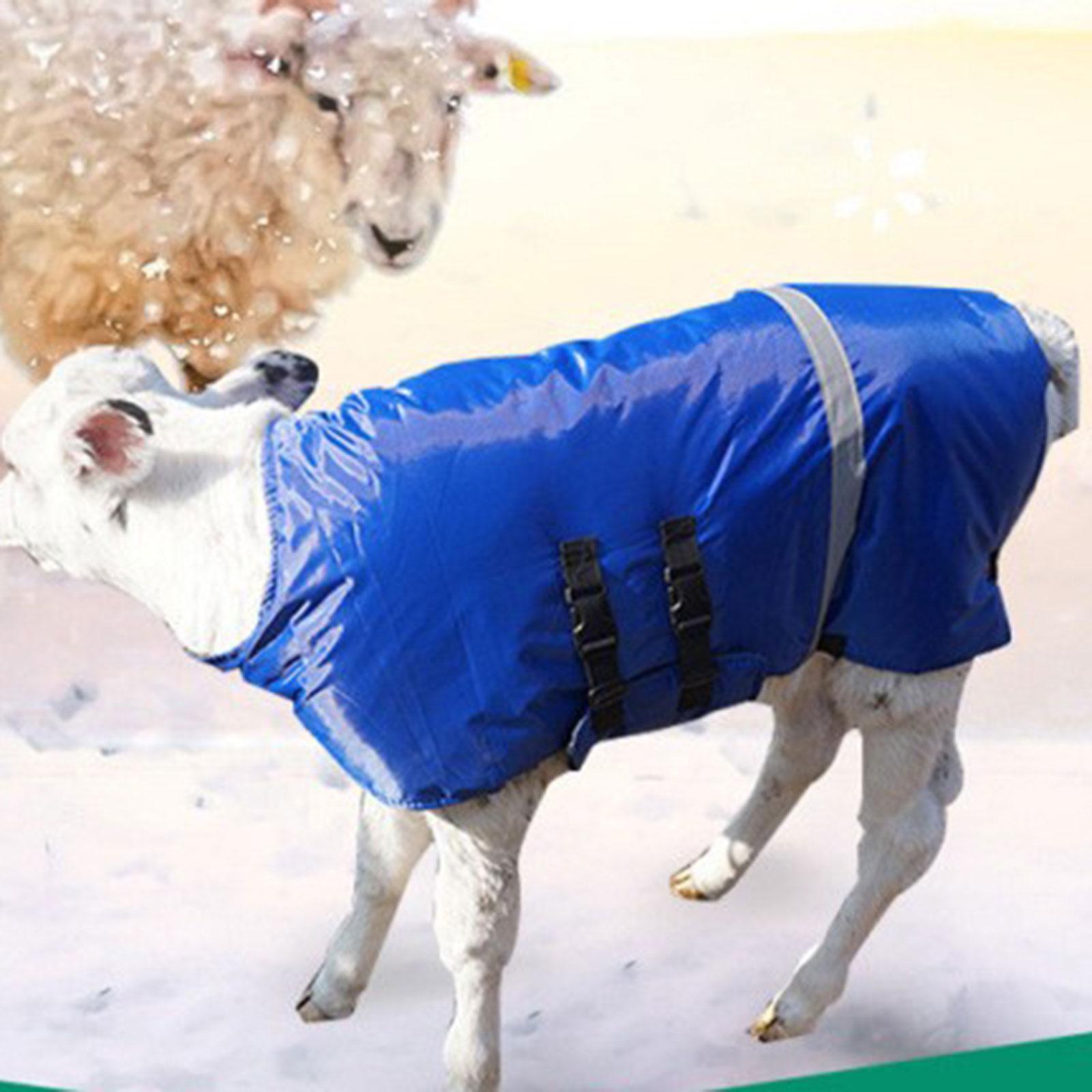 Calf Warm Clothing Belly Protector Oxford Thickened Clothes for Livestock