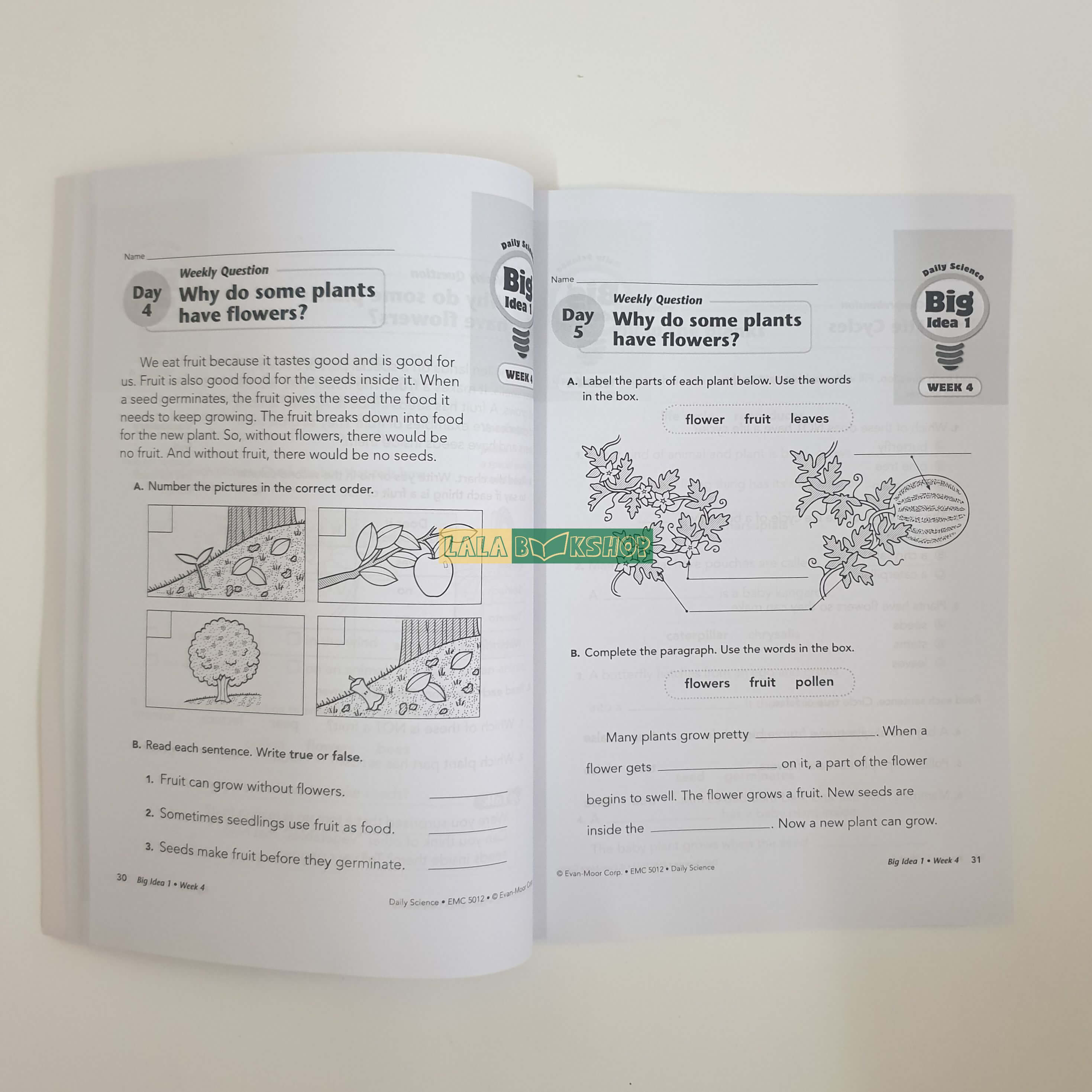 Flash card - Daily Science 6 level