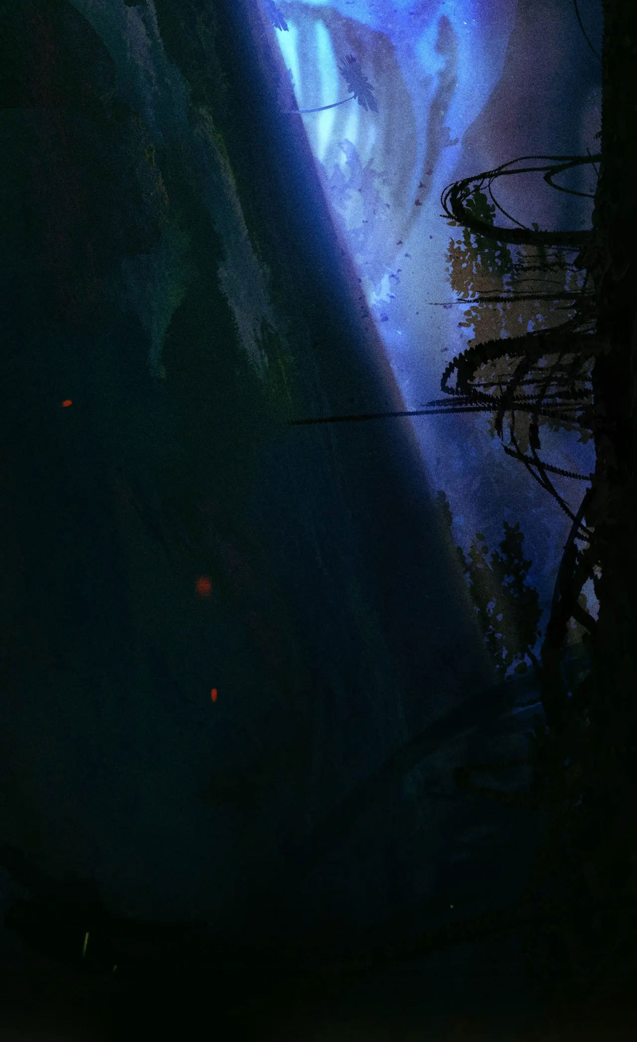 cây nấm nhỏ chapter 2 43