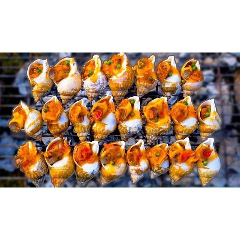 Ốc BULOT pháp 20-30con kg vĩ 500gr