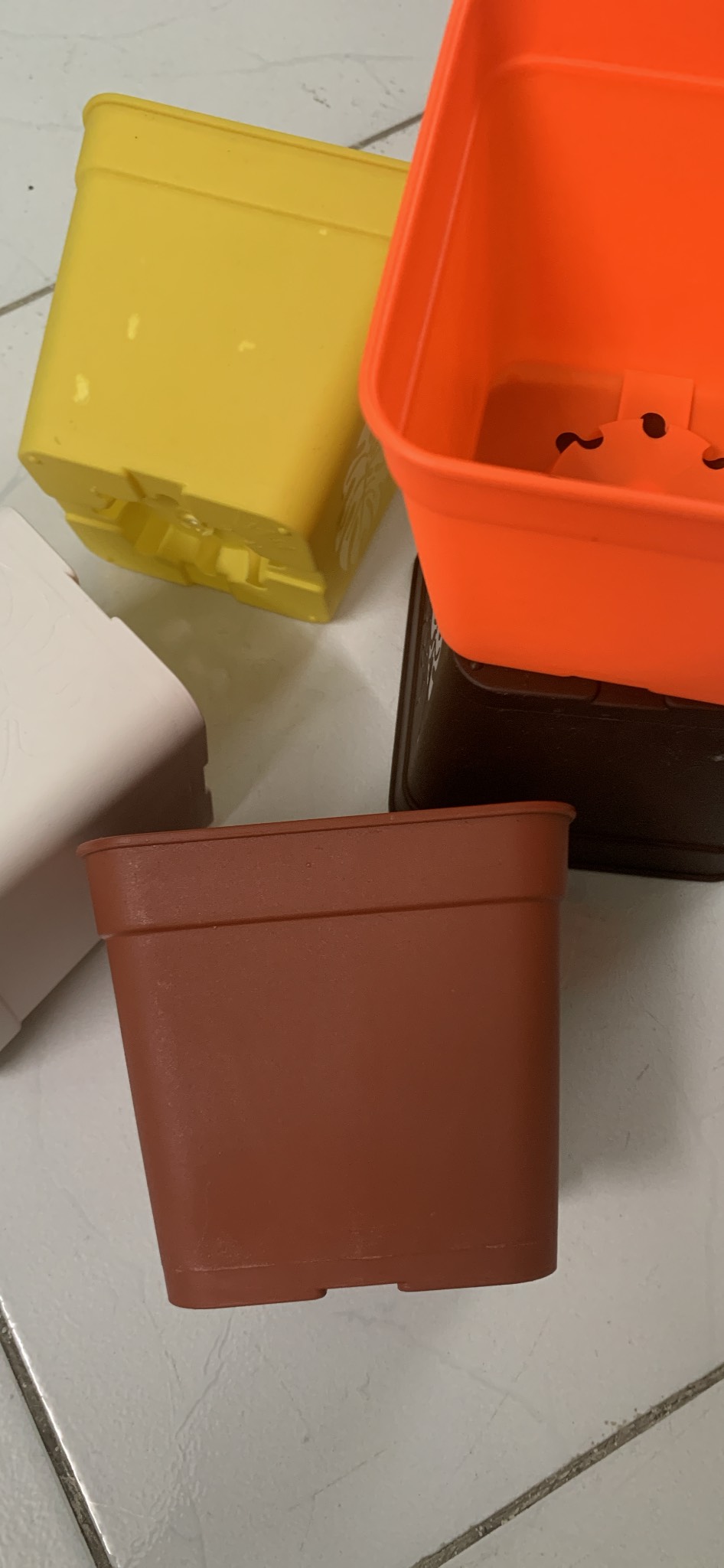 Bộ 5 chậu sen đá vuông 110 nhiều màu