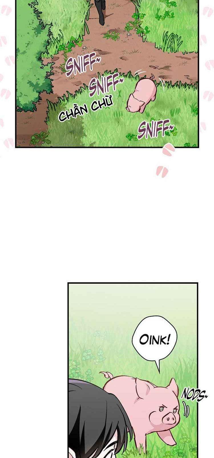 tôi lên cấp chỉ bằng cách ăn chapter 55 62