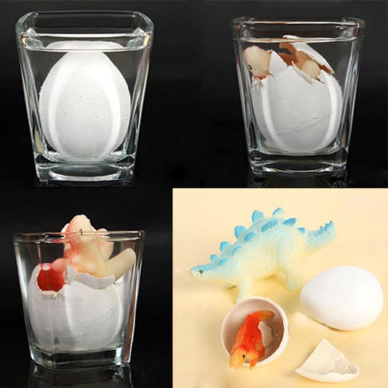 Bộ 6 sản phẩm trứng khủng long nở đồ chơi nở trong nước