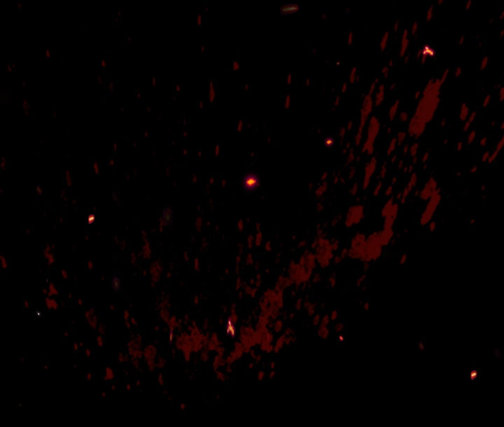 cha à, con không muốn kết hôn đâu chapter 110.1 48