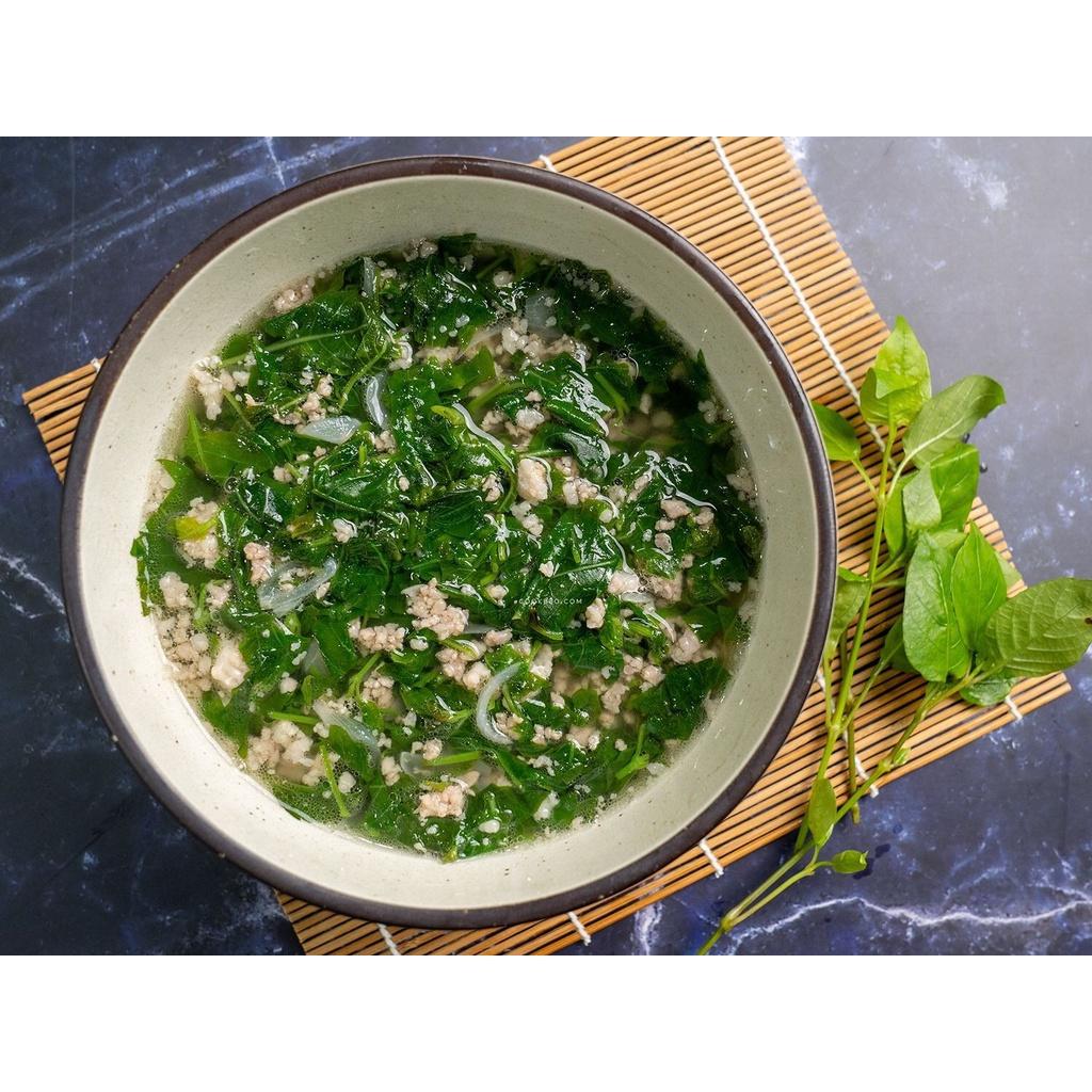 Giống rau bồ ngót