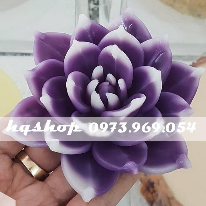 Khuôn silicon 3d làm thạch làm bánh mẫu sen đá cánh kim