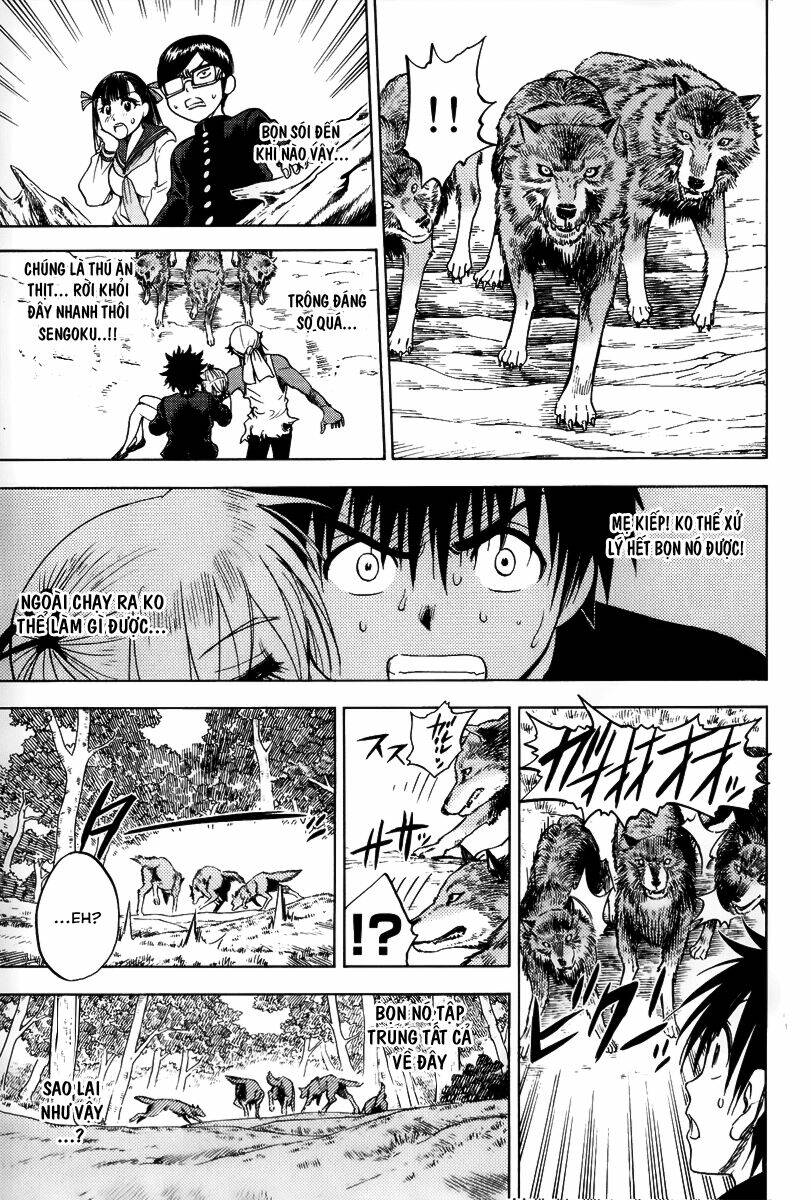 cage of eden chapter 39 8