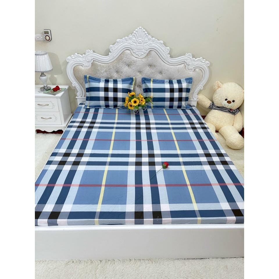 Bộ ga chun trơn và 2 vỏ gối 100% cotton hàn các kích thước