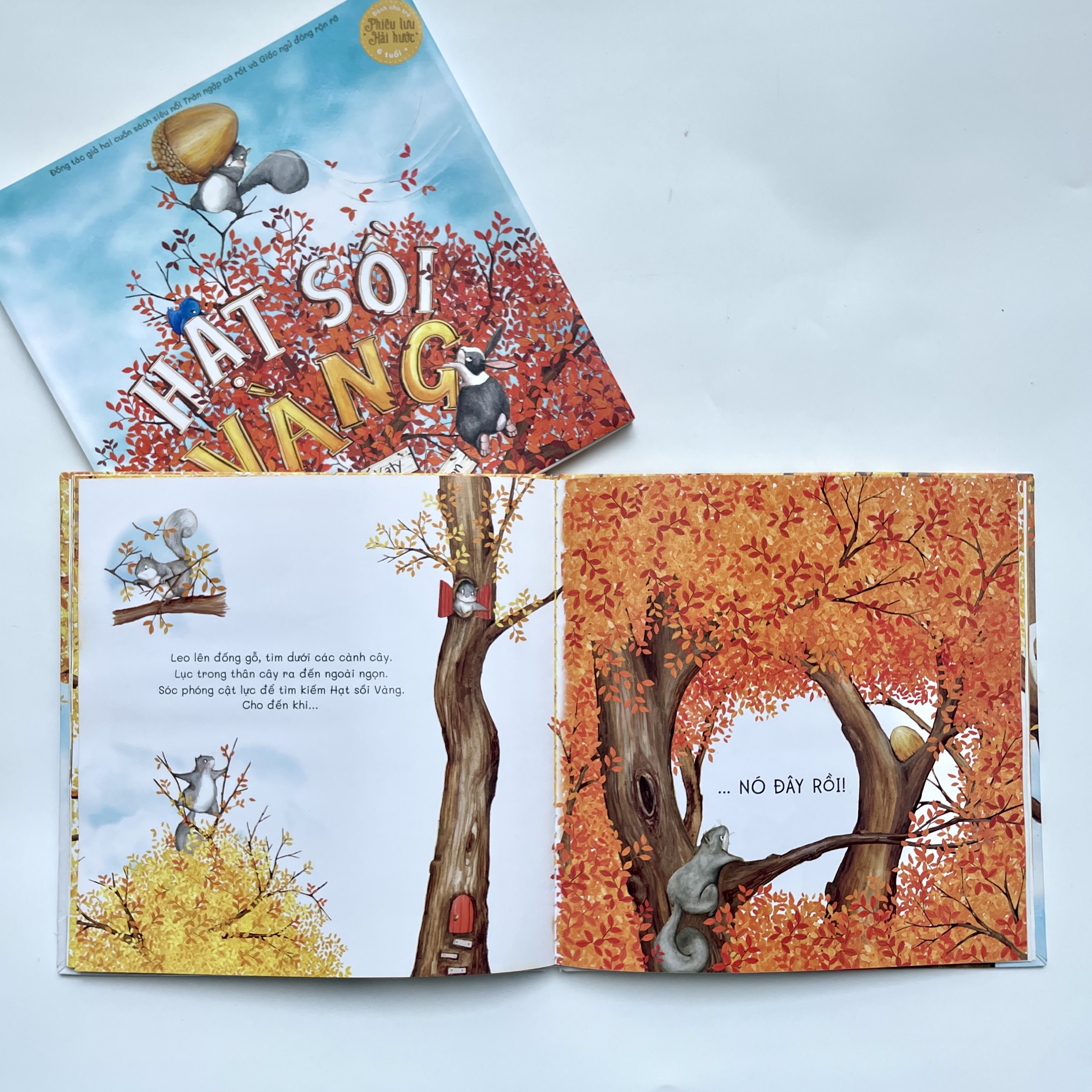 Sách - Hạt sồi vàng - Crabit Kidbooks - sách tranh dành cho trẻ 6+