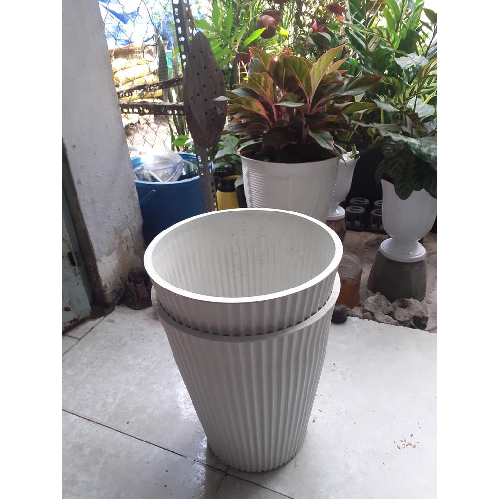 Combo 2 chậu nhựa dày trồng kiểng sọc