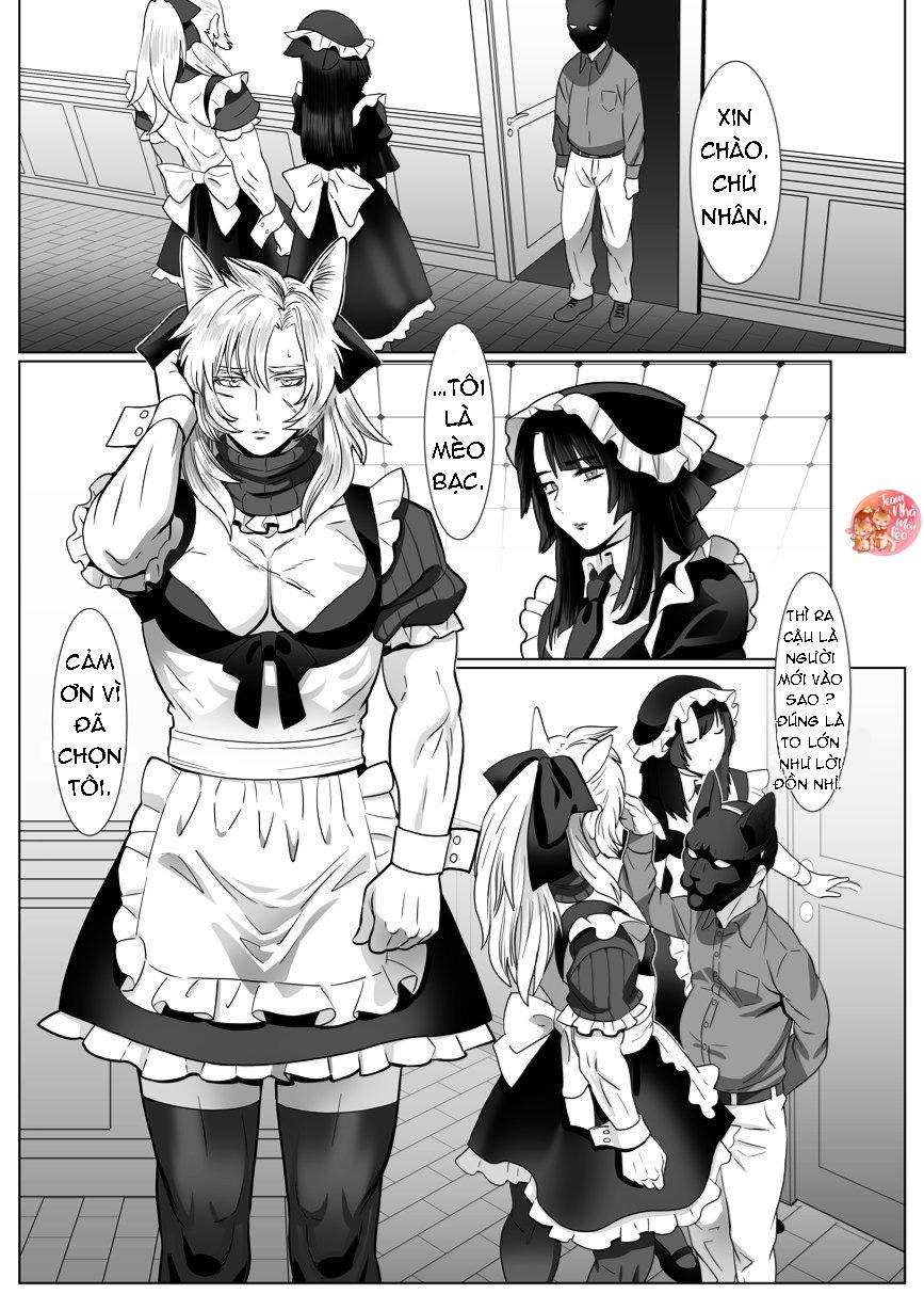 oneshot bl từ nhiều tác giả - mlèo dịch chapter 104 2