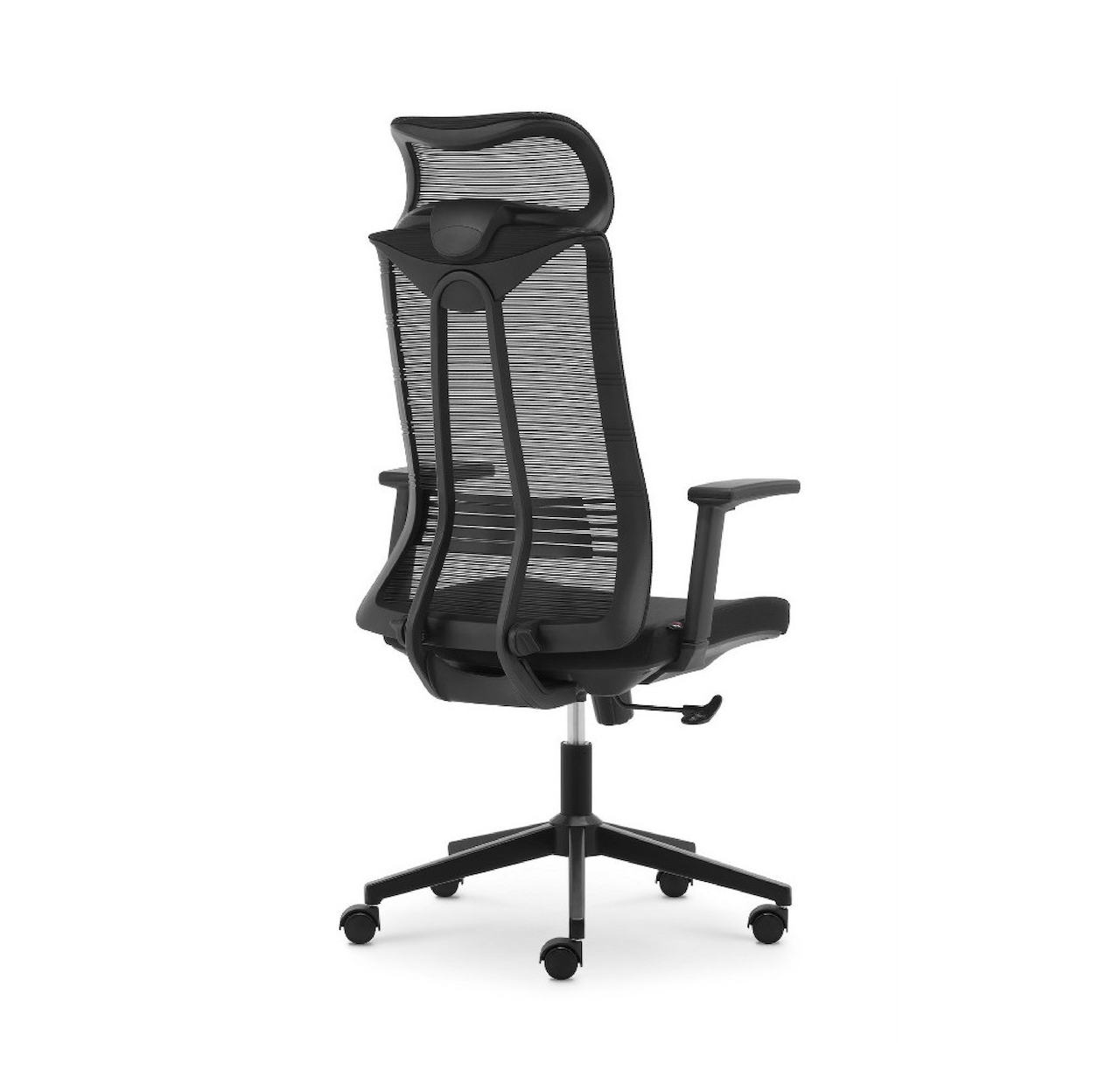 Ghế Làm Việc Công Thái Học Cao Cấp AMA-B253AS-1