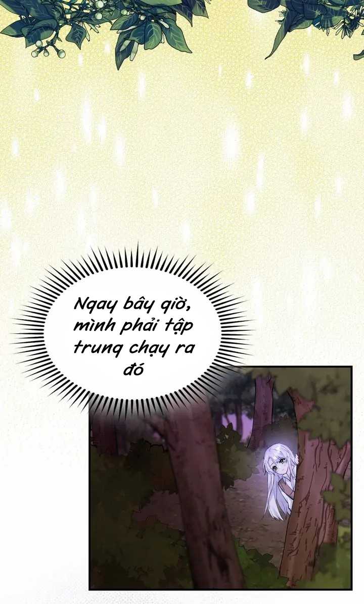 Lý Do Bảo Vệ Con Trai Của Phù Thủy chapter 1.2 - Trang 24