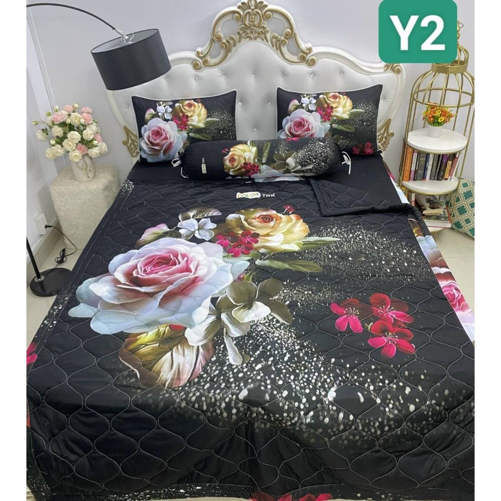 Bộ Drap mền gối thun Ý 5D Cao Cấp , mát lạnh, thấm hút tốt// có mền lẻ