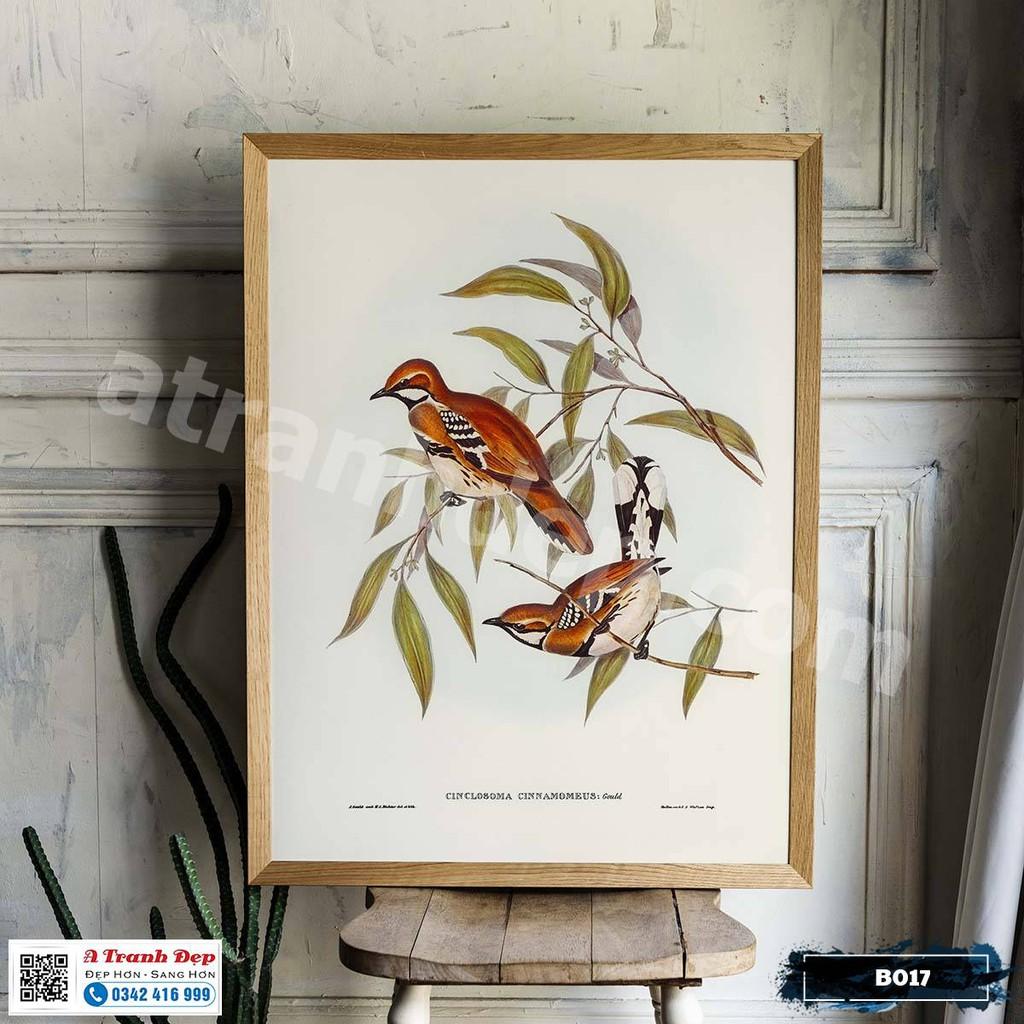 Tranh Canvas minh họa loài chim sẻ phong cách cổ điển - B017