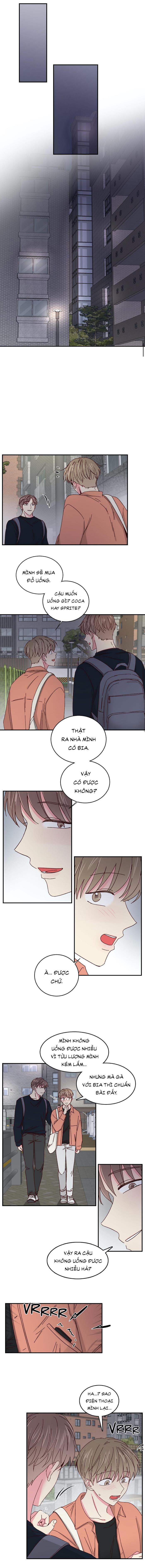 món tráng miệng của sếp tổng chapter 27 3