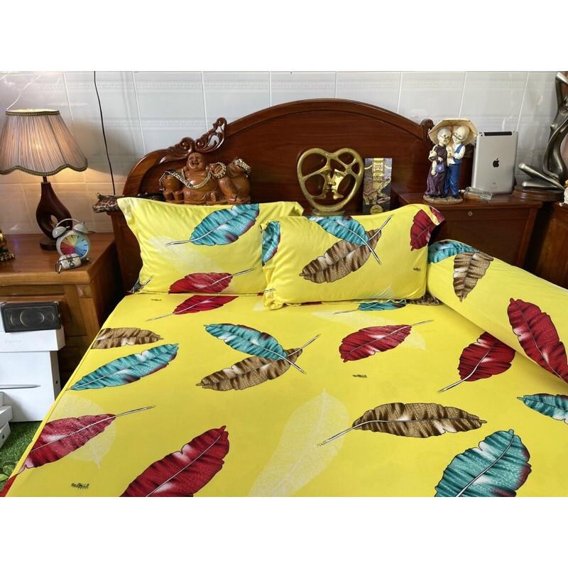 Drap thun Hàn quốc