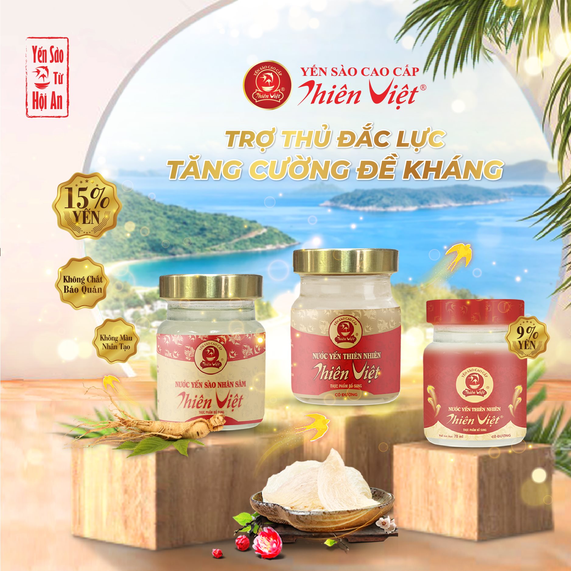 Combo 10 hũ Nước Yến Sào Cao Cấp Thiên Việt 15% Tổ yến (10 hũ x 70ml)