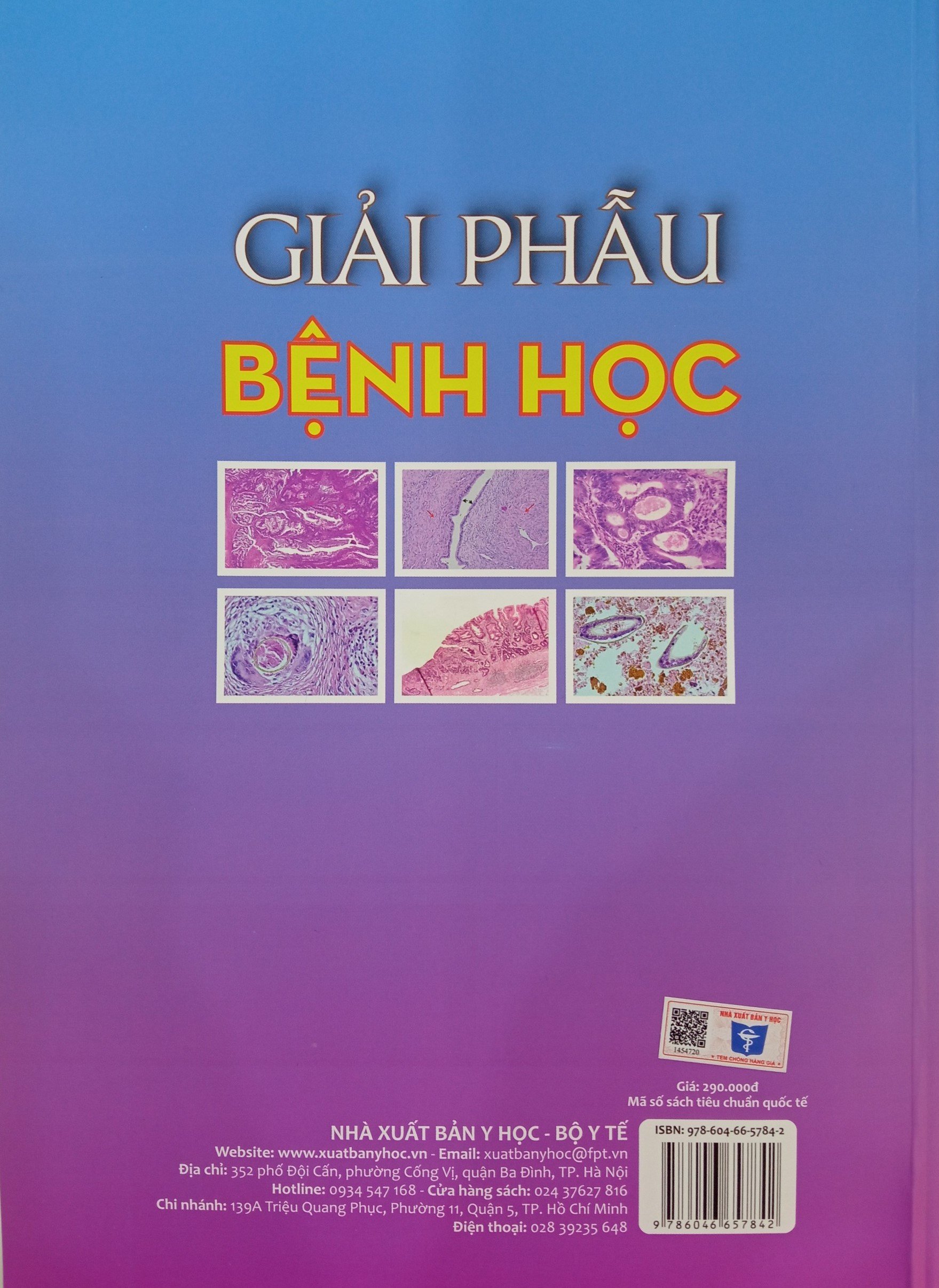 BENITO - Giải phẫu bệnh học