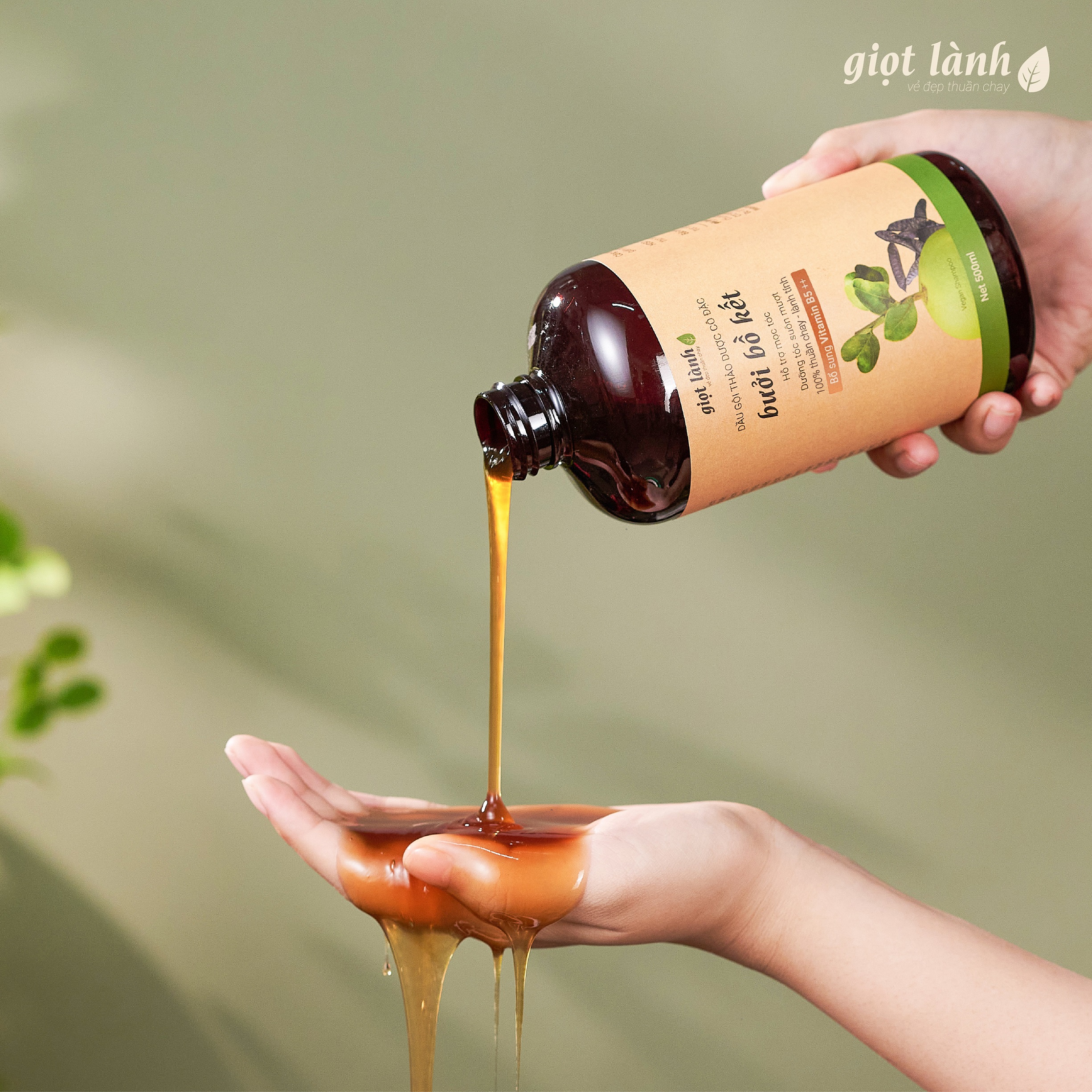 Bộ dầu gội bưởi bồ kết - Xịt tóc tinh dầu bưởi, hỗ trợ kích mọc tóc, giảm gãy rụng Giọt Lành