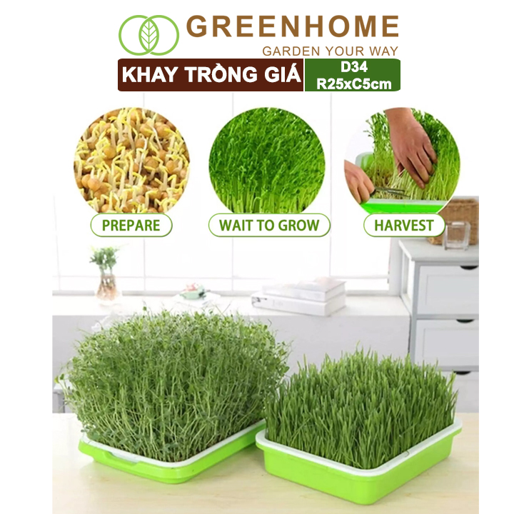 Bộ khay trồng giá, rau mầm, Greenhome, D34xR25xC5cm, nhựa nguyên sinh, an toàn, dễ trồng tại nhà, nhiều màu lựa chọn