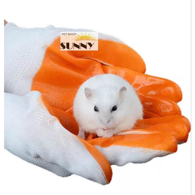 Găng tay bắt hamster, thú cưng chống cắn