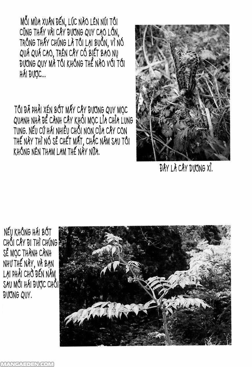 little forest chapter 21 8