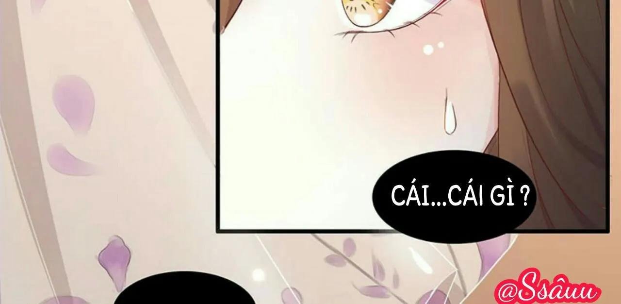 liêu cung phong hoa chapter 4 4