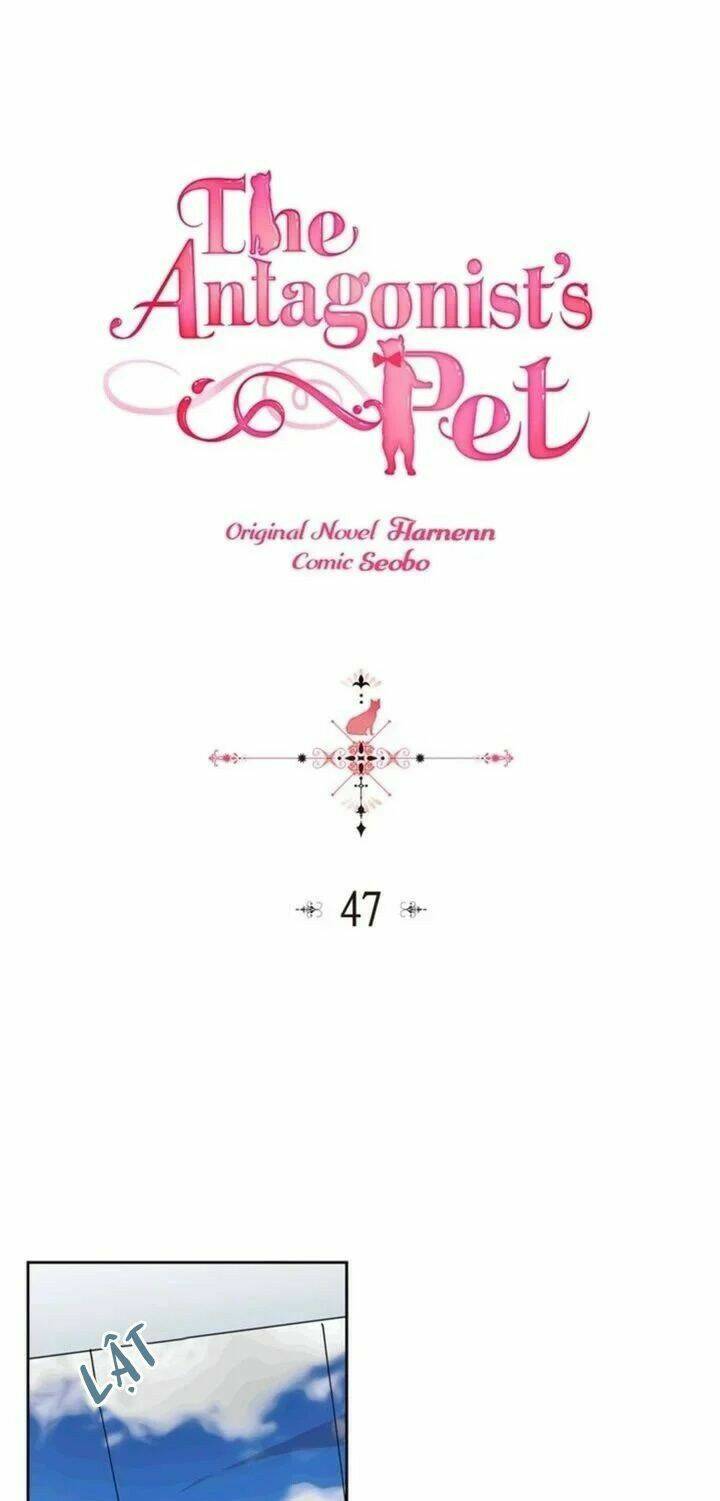 thú cưng của nữ phụ độc ác chapter 47 2
