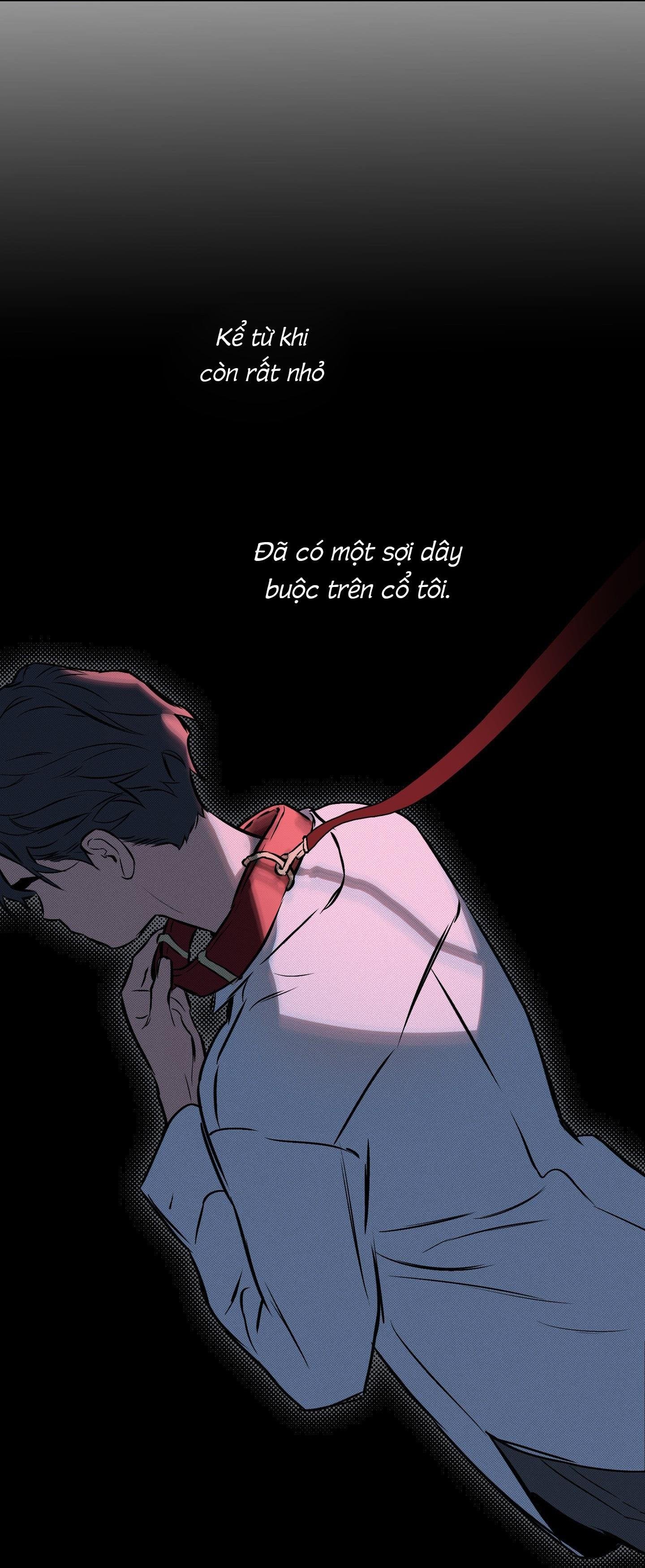 định tên mối quan hệ chapter 61 41